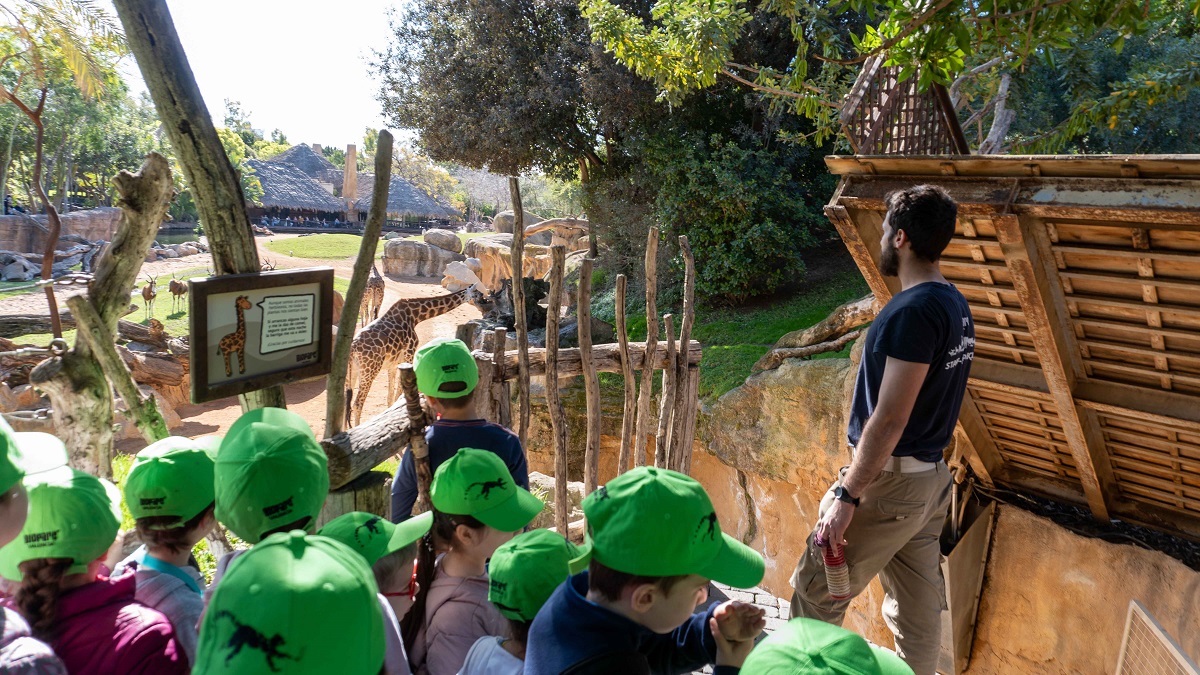 Bioparc Valencia Expedición África